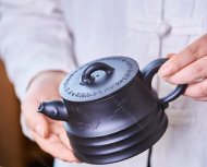 魚樂(lè)壺