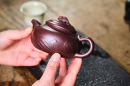 魚(yú)趣